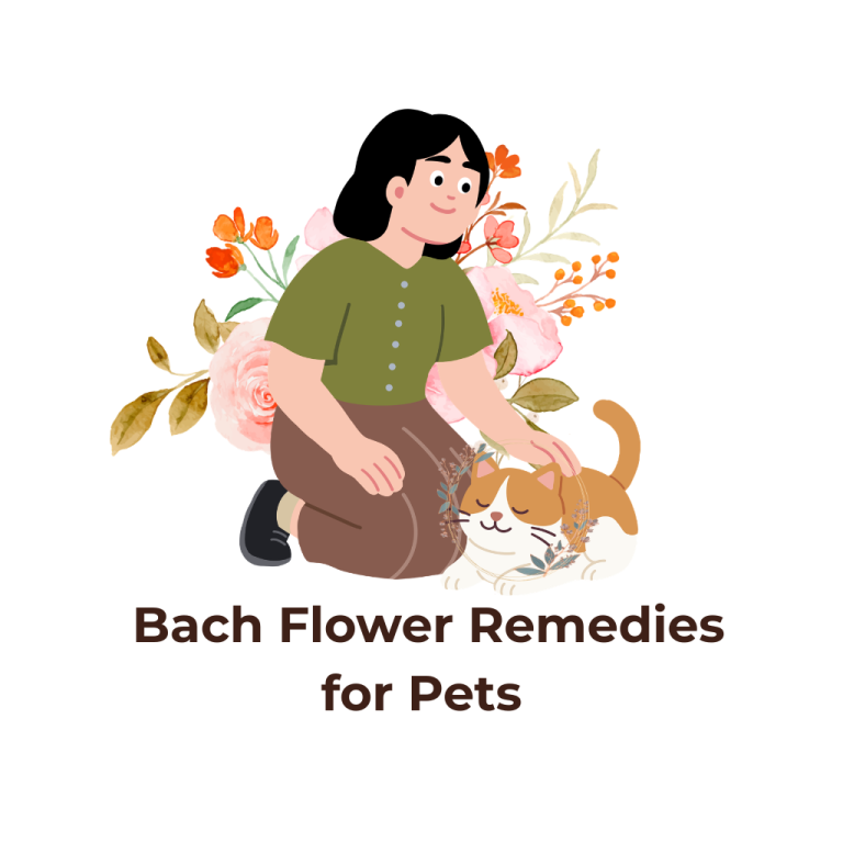 Earth Tone Color Palette Handdrawn Line Art Icons Icon Set (20)